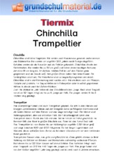 Chinchilla - Trampeltier.pdf
